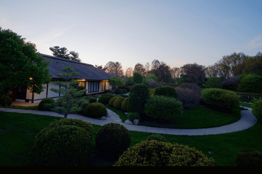 What is Champaign’s “Culture” and how can I indulge in&nbsp;it?